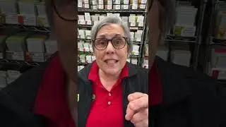 Replay: Ask A Flower Farmer: Live Q&A with Lisa Z!