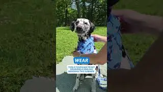 Cooling Bandanas!