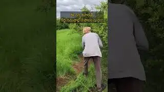Weed Removal Gadget