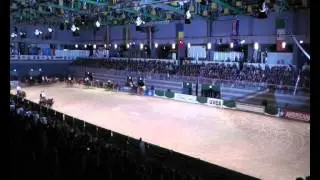Haflinger Luber Einspänner-Quadrille