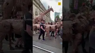 Huge animal puppet parade The Herds snakes through Manchester