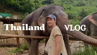 Nebenberuf: Elefantenflüsterer