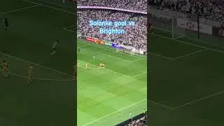 Solanke goal vs Brighton
