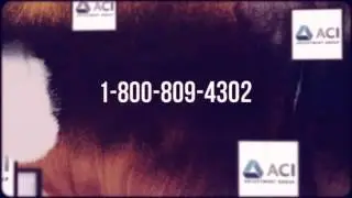 Public Adjuster in Cabot, PA