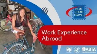 Student Interviews: Work Experience Abroad