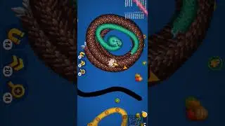 Worms Zone io Snake Game 🐍🐍🦅 #wormszone #snake #gaming #funny