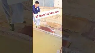 Lotting Carpet for Pigs. Giặt Thảm L&oacute;t acho Heo Con. #youtubeshorts #viral #pig #farming #gialon