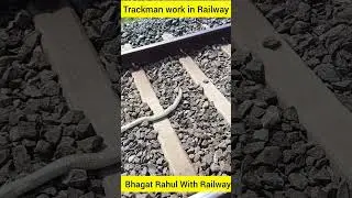 Railway Trackmaintainer work #shorts #railway #groupd