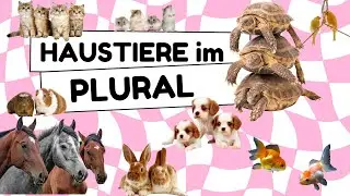 Haustiere SONG | Alle Haustiere im Plural LIED | Pets in German song | Mascotas en Alemán Canción