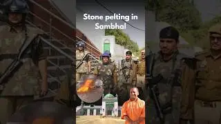 Sambhal: Mosque Survey Sparks Controversy
