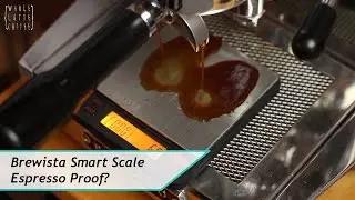 Brewista Smart Scale - water resistant test