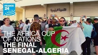 Africa Cup of Nations, Senegal - Algeria: the final!