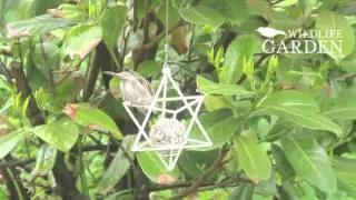 Suet ball feeder Star by Wildlife Garden