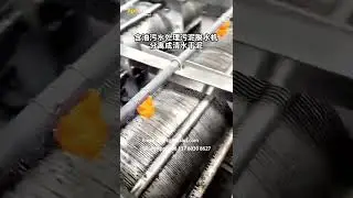Apoaqua Mobile Sludge Dewatering Screw Press - Sludge Dewatering Machine Factory