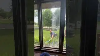 🌳 Windows hard to reach? Let us clean them for you! #windowcleaning #northdakota ​⁠