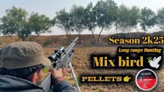 Long range Hunting mix bird |season 2k25 |PCP airgun pr900s