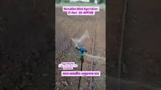 Netafim D-Net | Mini Sprinkler | मिनी स्प्रिंकलर | #farmer #indianfarmer #nature #D-Net #pocra #crop