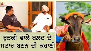 ਰੁੜਕੀ ਵਾਲੇ ਬਲਦ ਦੀ ਕਹਾਣੀ, ਕਿਵੇਂ ਬਣਿਆ ਸਟਾਰ - Jung Balala | Top Bail Dorak In Punjab 2021
