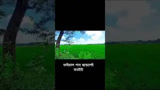 কিছু গ্রামের দৃশ্য #eurovision #likemusic