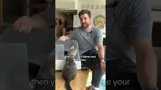 В вашей квартире ПАХНЕТ кошачьим наполнителем?