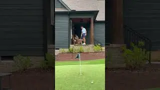 Who can dunk it first! Hard Mode #golf #shorts