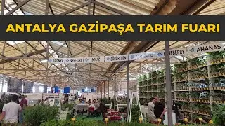 Antalya Gazipaşa Tarım Fuarına Geldik  #tropikaltopraktv