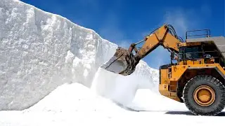 Salt: The Hidden Force Behind Civilizations, Industry, and Survival