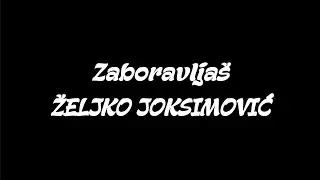 Zaboravljaš - ŽELJKO JOKSIMOVIĆ [cover/fingerstyle/instrumental/tekst]