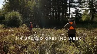 New England Upland Hunting Opening Week