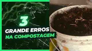 # 3 Grandes erros de quem faz compostagem com minhocas( vermicompostagem )
