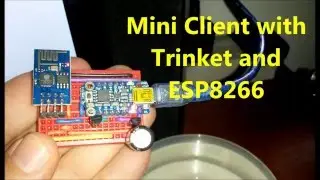 Mini Client with the Arduino TRINKET and the ESP8266
