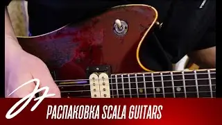 Распаковка Scala Guitars - Gypsy Queen