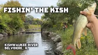 Kishwaukee River: Belvidere,IL