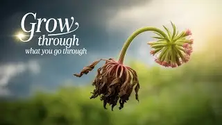 Shocking Truth About Thoughts |Motivational Mata |Positivity