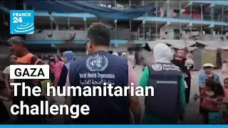 Despite ceasefire, Gaza faces severe hunger and aid coordination issues &bull; FRANCE 24 English