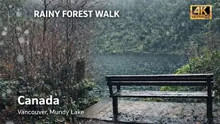 Rainy Forest Walk 🌧 | Peaceful Nature Sounds | Vancouver, Canada