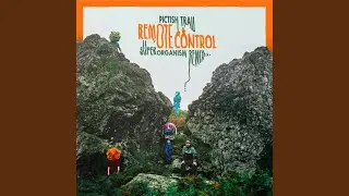 Remote Control (Superorganism Remix)