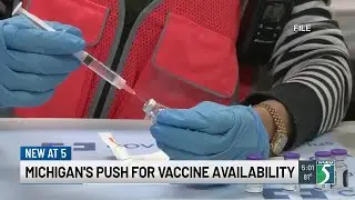 Doctor discusses Gov. Whitmer&rsquo;s executive directive to ensure COVID vaccine access