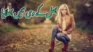 Bhul Ke V Nei Bhulaya (Slow and Reverb) Singer Anwaar Ali Khan Baloch Latest Saraiki Song