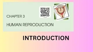 QUICK REVISION OF HUMAN REPRODUCTION