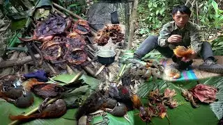 Hunting wild chicken and Squirrels and Cooking in the Forest - Yos hav zoov tua qaib qus tua nas