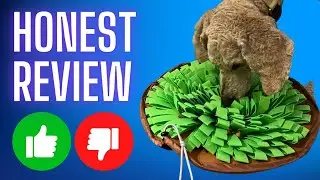 Review: NEECONG Snuffle Mat for Dogs