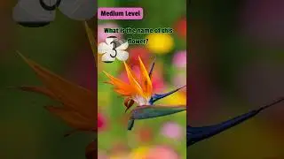 Flower Identification Quiz: Can You Name These Flowers #educational #quiztime