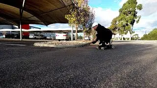 Is Courage Important for Skateboarding?