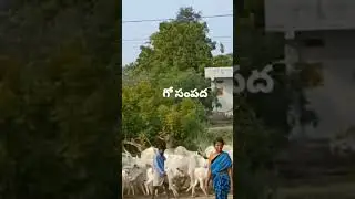 govulu