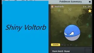 PokeMMO - Shiny Voltorb 7426 encounters