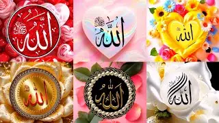Allah Name Dp Photo/ Allah Name Dp 2025 ❤️ Islamic Dpz For Whatsapp/ Allah Name Dp Sumik Collection