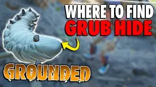 Where to find Grub Hide and Grub Sludge in Grounded