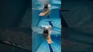 Qual&rsquo;&egrave; la corretta traiettoria della mano nella bracciata a stile libero?🤔🏊🏻&zwj;♂️ #swimprove #nuoto