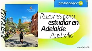 Becas para estudiar en Adelaide, Australia